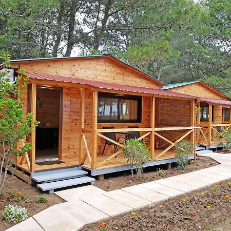 Saranda Beach Bungalow Улцинь Экстерьер фото