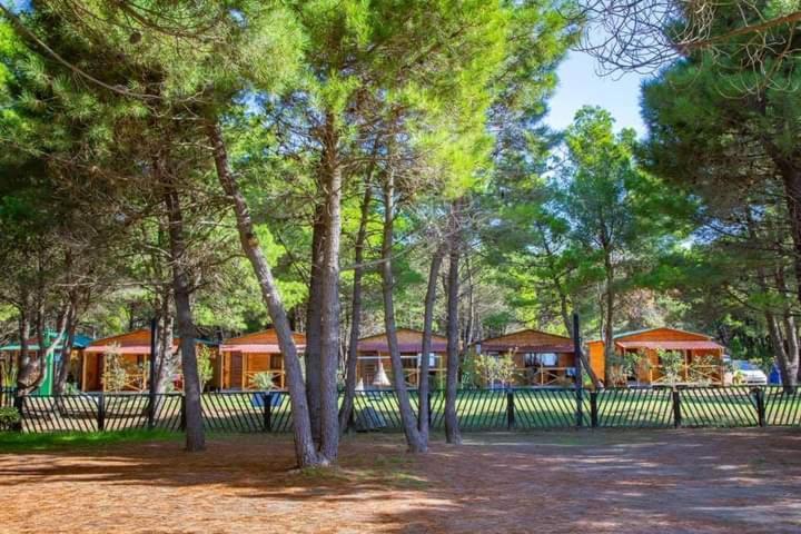 Saranda Beach Bungalow Улцинь Экстерьер фото
